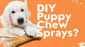5 diy puppy chew sprays stop puppy