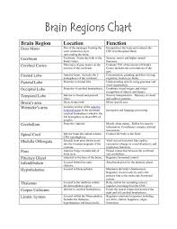 Brain Functions Chart Brain Parts Therapy Pinterest