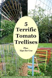 I used a brush to get in the edges, but a foam roller for cabinets to paint the wood lattice and the wall. 5 Terrific Tomato Trellis Ideas For Easy Harvesting