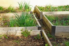 Organic Raised Garden Beds