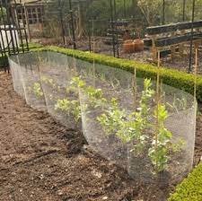 Wire Mesh Panels Harrod Horticultural
