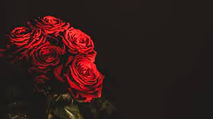 roses, bouquet, flowers, dark ...
