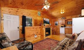 Pigeon Forge Cabins Beary Cozy