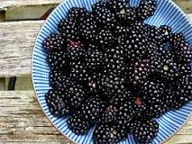 Is there a poisonous berry that looks like a Blackberry?