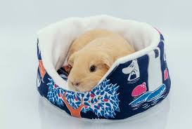 11 Diy Guinea Pig Bed Plans You Can