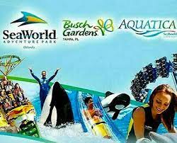 busch gardens ta seaworld two park