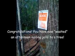 nailing jello to a tree you