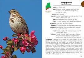 birds of maine field guide by stan tekiela