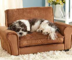 Miniature Couch For Dogs