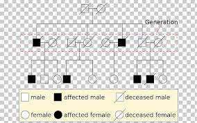 Pedigree Chart Genetics Mendelian Inheritance Png Clipart