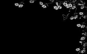 Black Backgrounds Wallpapers ...