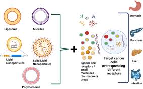 functional lipid nanoparticles