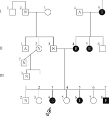 pedigree chart an overview