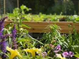 Custom raised garden bed these beds are built from natural cedar or redwood for longevity, and in a height of your choice. Home Gardening Benefits Of Using Raised Garden Beds Agdaily