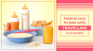 6 Best Baby Foods For Travelling