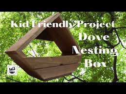Build And Kid Friendly Dove Nest Box