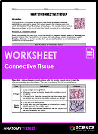 Unlike other types of tissues, connective tissues are classified more by in most cases, the cells that produce that matrix are scattered within it. Connective Tissue Matrix Worksheets Teaching Resources Tpt