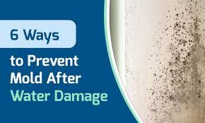 prevent mold after water damage