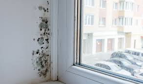 how to prevent mold on your window sills