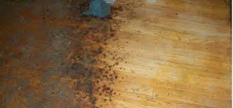 Carpet one australia offers underlay for carpets and flooring. How To Remove Old Carpet Padding Stuck To Wood Floor