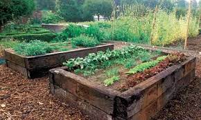 Making A Raised Bed Garden Elegant