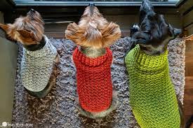 Easy Crochet Dog Sweater Pattern