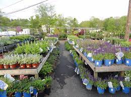 Garden Center Amp Florist Deals