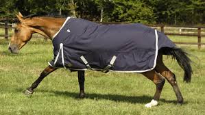 best lightweight turnout rugs with 50