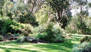 Australian Native Garden Native Garden