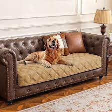 Couch Covers And Furniture Protectors