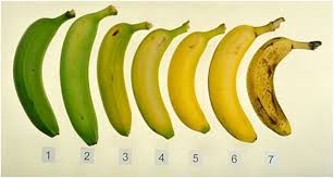 ripe vs unripe bananas which is better