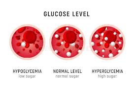 Glucose Blood Level Sugar Test Diabetes Insulin