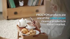 cleaning s by soap free procyon