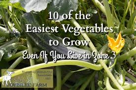 10 Of The Easiest Vegetables To Grow