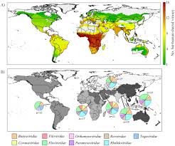 Map Shows Hotspots For Bat Human Virus Transmission Risk