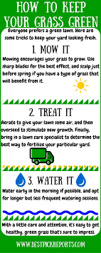 How to Keep Your Grass Green [Infographic] | Best Pick Reports