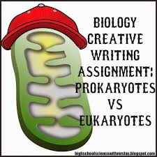essay writing activities for kids