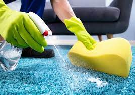 portsmouth va carpet cleaning
