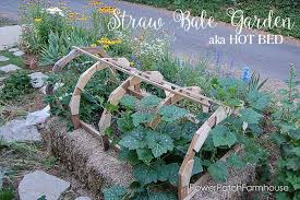 straw bale garden aka a hot bed