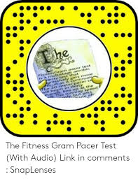 The Fitnessgram Pacer Test Is A Multistage Aerobic Acity