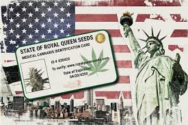 After you get the written certification, you can then register with the board of the vmcc has a detailed guide on how to fill out the application. How To Get A Medical Marijuana Card In The United States Rqs Blog