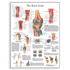 Cheap U Joint Size Chart Find U Joint Size Chart Deals On