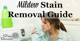 mildew stain removal guide