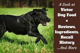 A number of variables must be taken into consideration. Victor Dog Food Reviews Ingredients Recall History And Our Rating 2021