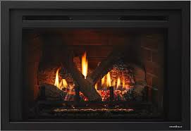 Gas Burning Fireplace Insert