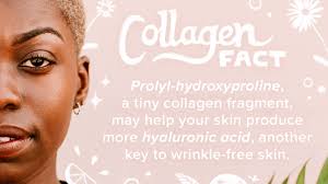 Search for collagen with us. Is Drinking Collagen Your Answer To Reversing Aging