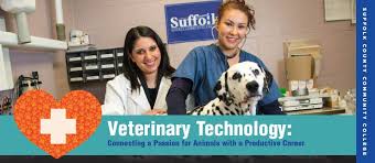 Veterinary Science Technology Program at Suffolk County Community College