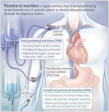 what is paeral nutrition pn dr