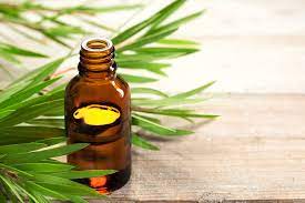 the power of natural tea tree oil