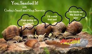 snails and slugs slow but sure to